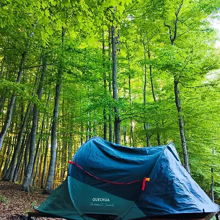 Nature Escape Tents Luxury tent