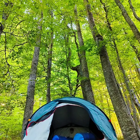 Luxury tent Nature Escape Tents